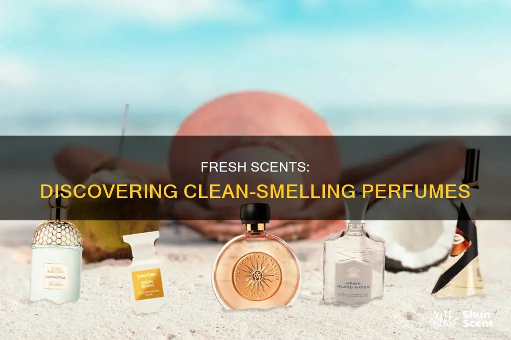 what perfume smells clean