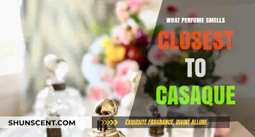 Find Your Scent: Cashaqe and Its Perfumed Cousins