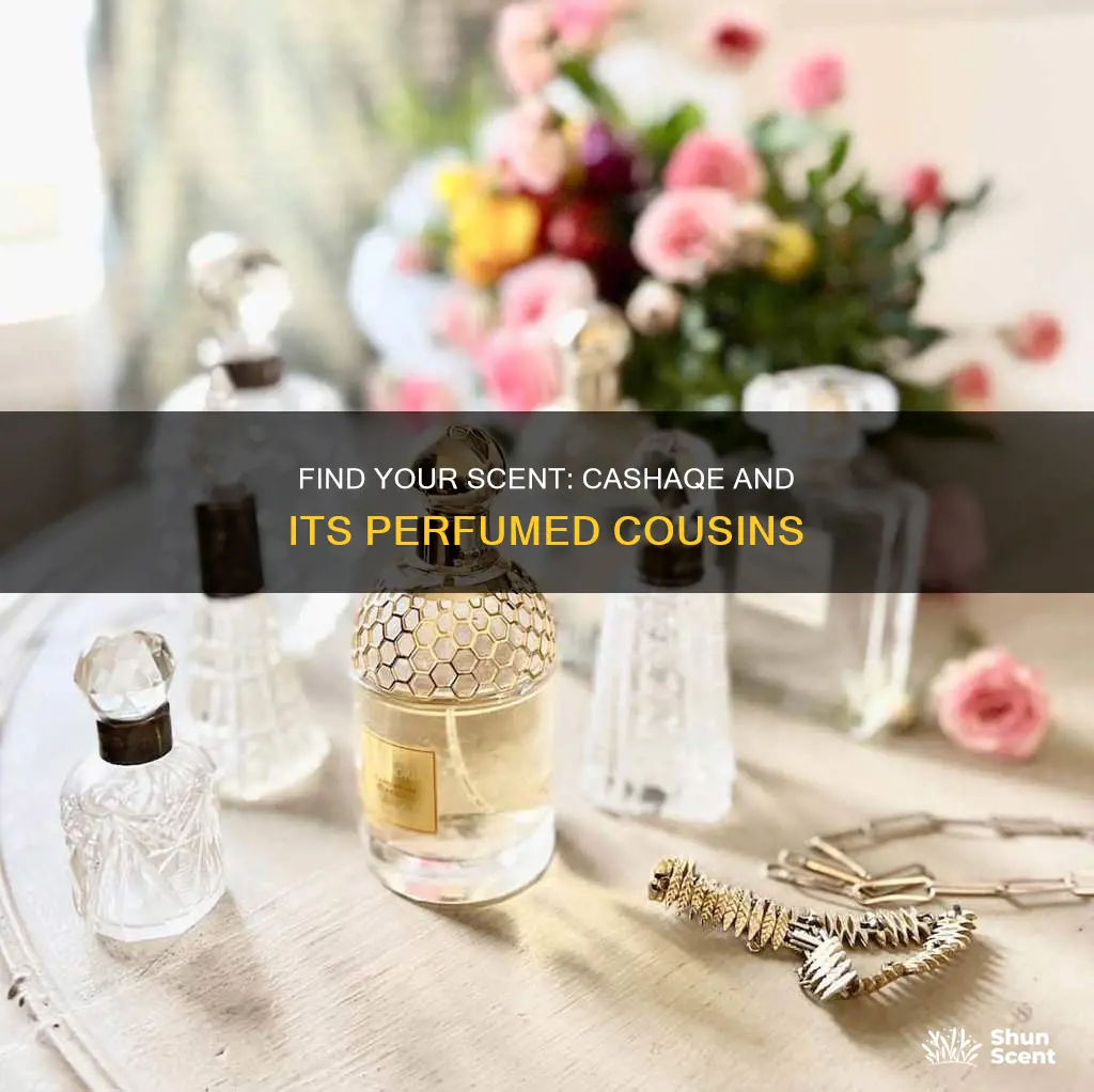 what perfume smells closest to casaque