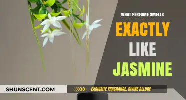 Jasmine Fragrance: Which Perfumes Capture Its Exact Scent?