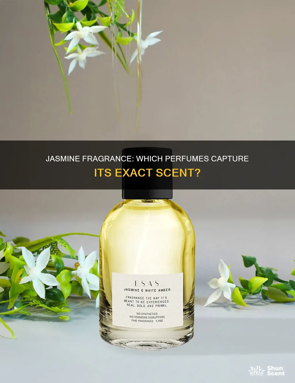 what perfume smells exactly like jasmine