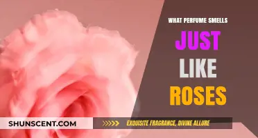 Rose-Scented Perfumes: Smell Like a Fresh Bouquet