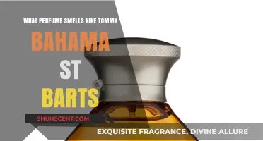 Finding Tommy Bahama St. Barts' Scent in Perfumes
