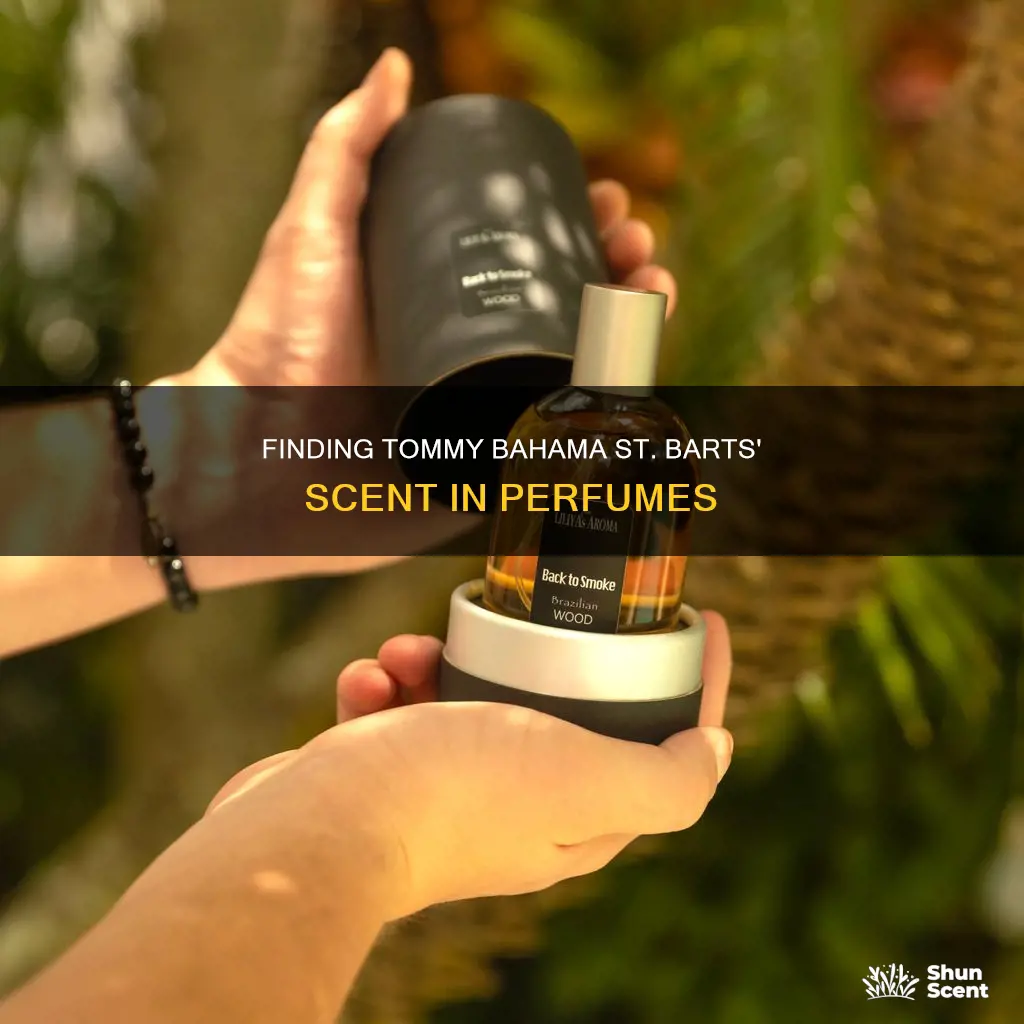 what perfume smells kike tommy bahama st barts