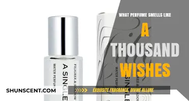 Explore the Magical Fragrance of a Thousand Wishes