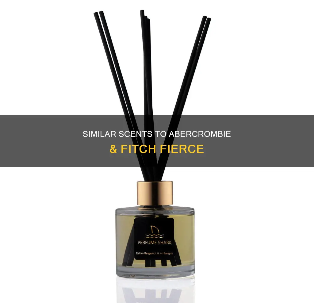 what perfume smells like abercrombie fierce