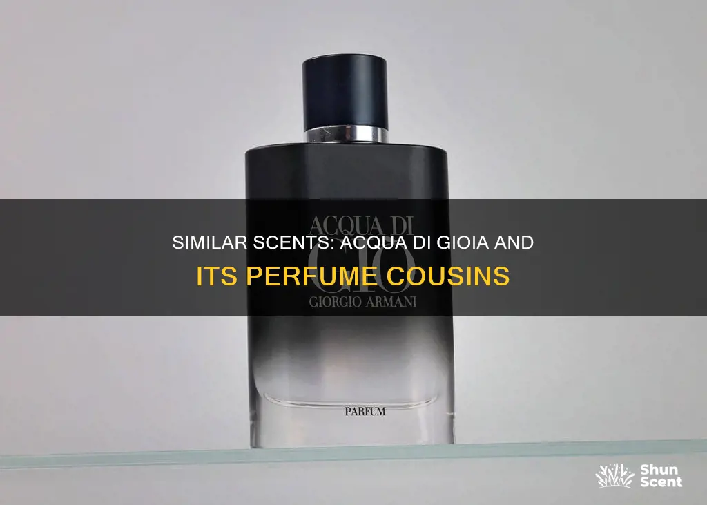 what perfume smells like acqua di gioia