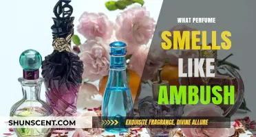 Scents of Ambush: Perfumes with Similar Notes