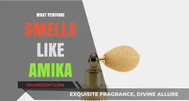 Discover Amika's Signature Scents: Perfumes and Their Notes