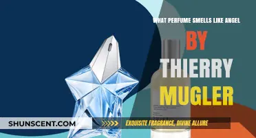 Dupes for Thierry Mugler's Angel Fragrance