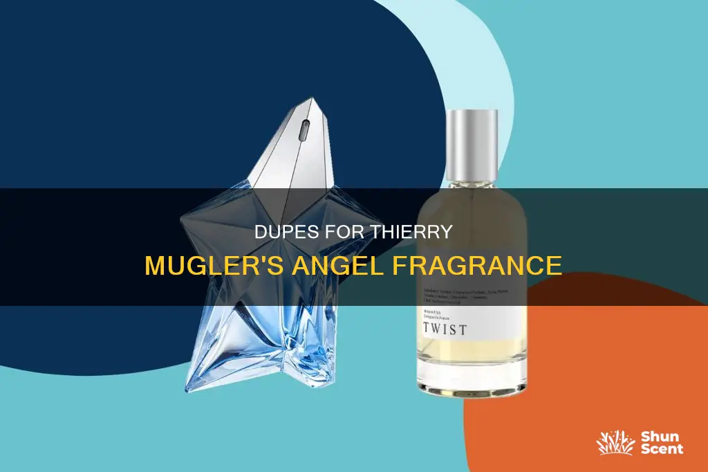what perfume smells like angel by thierry mugler