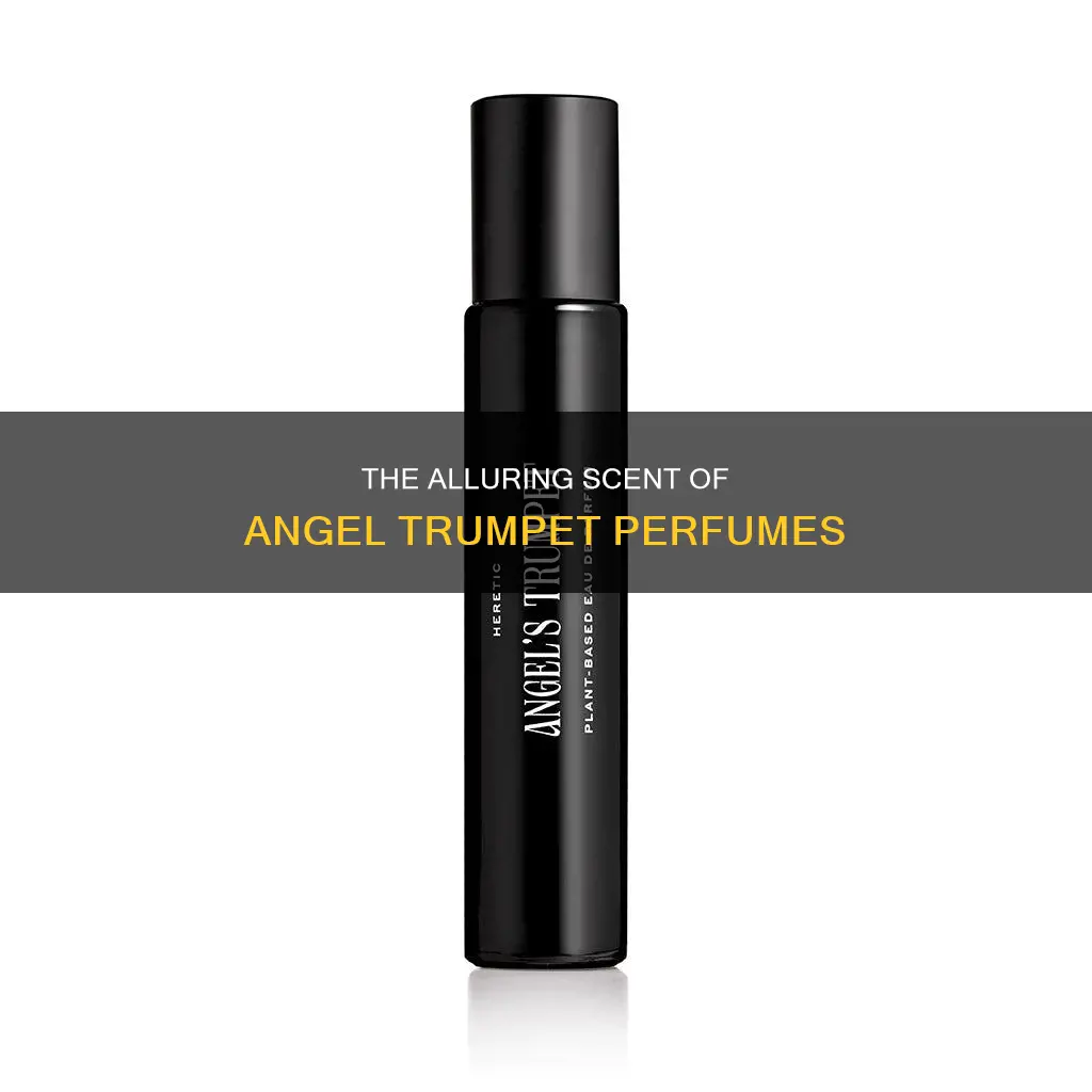 what perfume smells like angel trumpet