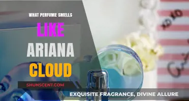 Ariana Cloud: What Perfumes Have Similar Scents?