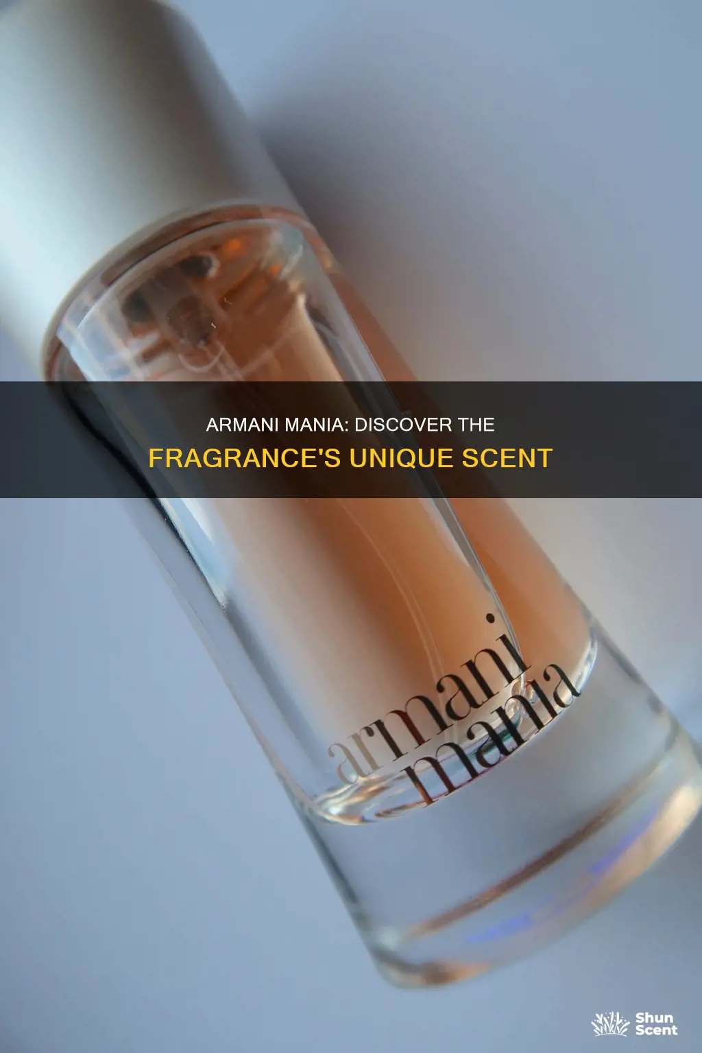 what perfume smells like armani mania