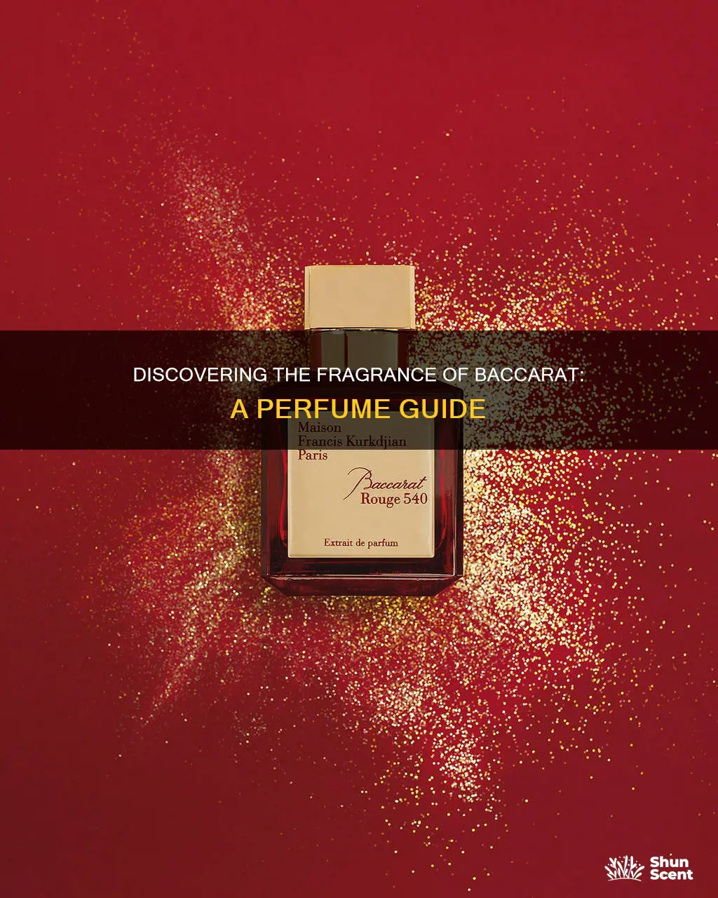 what perfume smells like baccarat