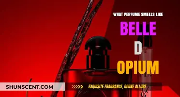 Similar Scents: Belle d'Opium's Perfumed Cousins