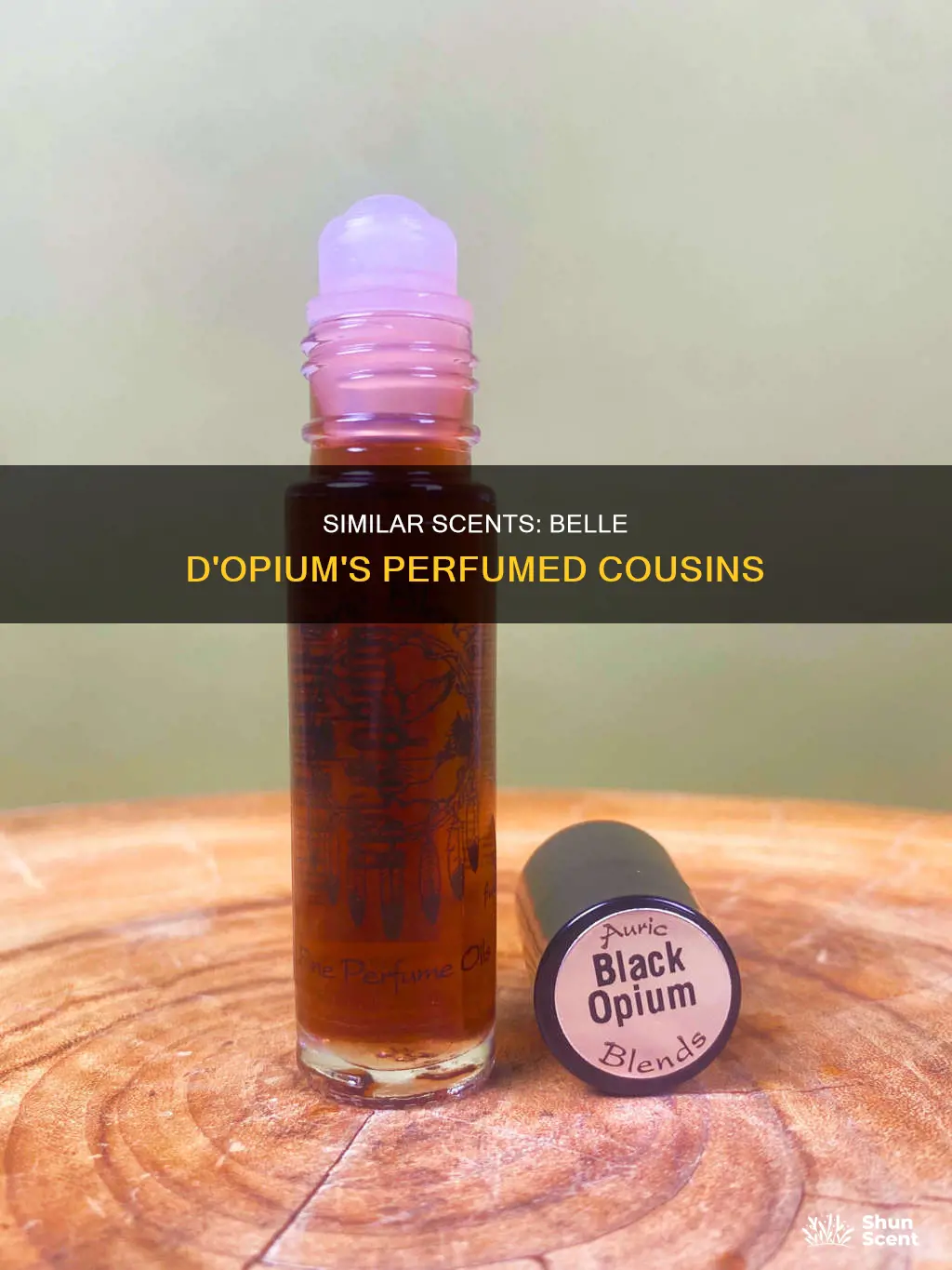 what perfume smells like belle d opium