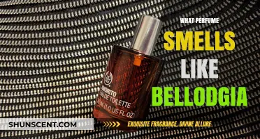 Discover the Scents That Resemble Bellodgia Fragrance