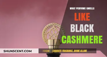 Explore the Fragrance Notes of Black Cashmere Perfumes