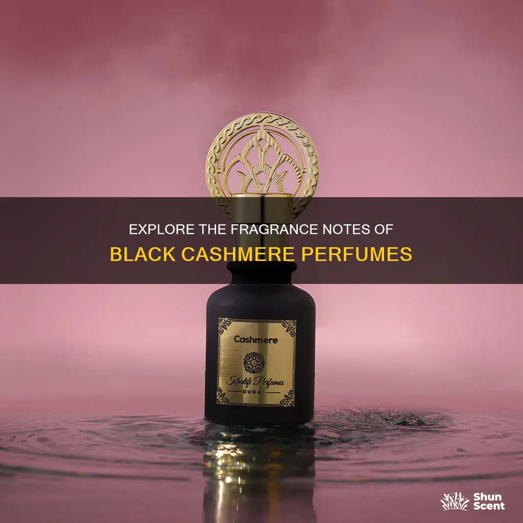 what perfume smells like black cashmere