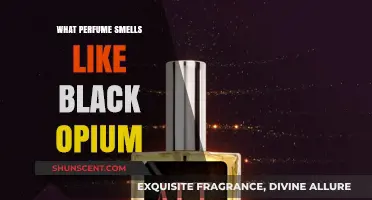 Black Opium Fragrance: Exploring Its Unique Scent
