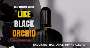 Black Orchid Scents: Exploring Dark, Seductive Perfumes