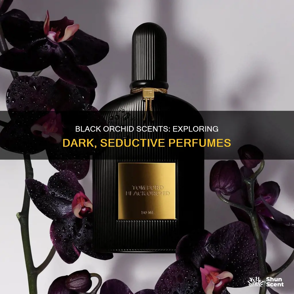 what perfume smells like black orchid