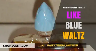 Discovering the Blue Waltz Perfume Scent