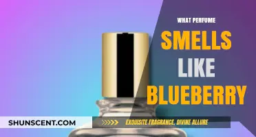 Blueberry Scents: Fragrances for Blueberry Lovers