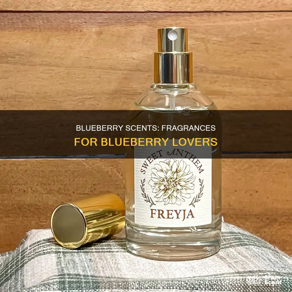 what perfume smells like blueberry