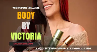Discover Body by Victoria's Secret Scent-alike Perfumes