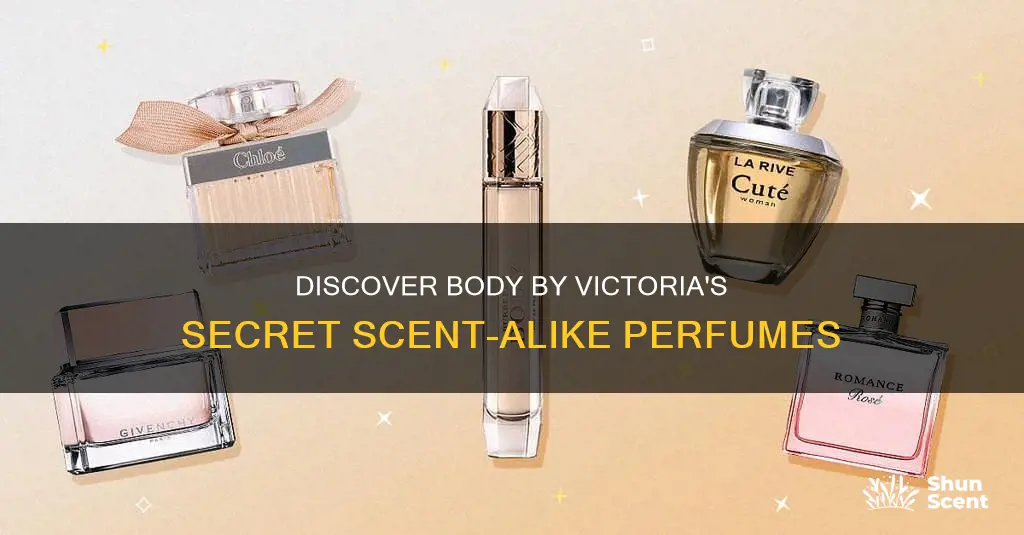 what perfume smells like body by victoria