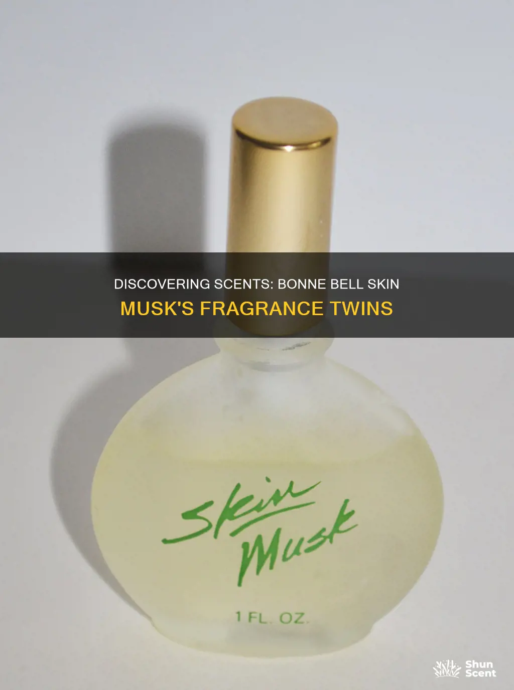 what perfume smells like bonne bell skin musk