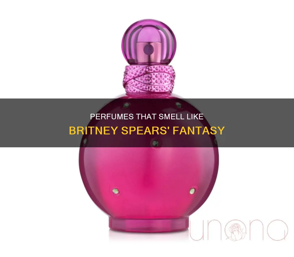 what perfume smells like britney spears fantasy