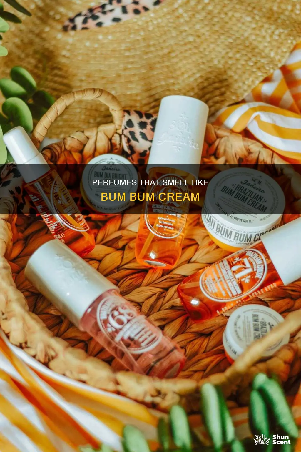 what perfume smells like bum bum cream