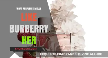 Similar Scents to Burberry Her: A Fragrance Guide