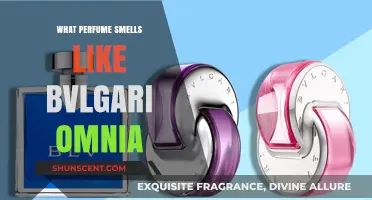 Discovering the Scent of Bvlgari Omnia Perfumes