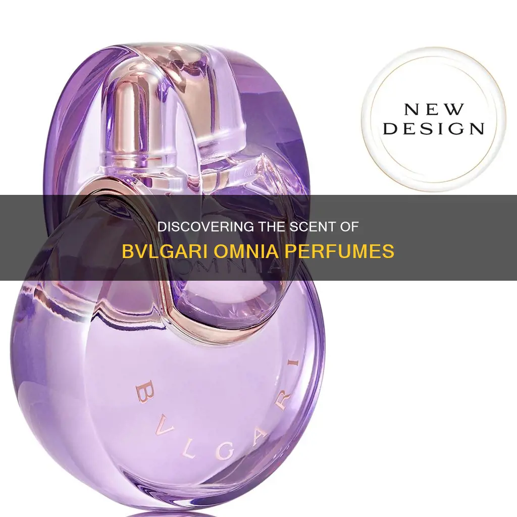 what perfume smells like bvlgari omnia