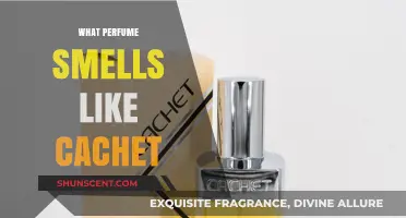 Discovering the Scent of Cachet in Perfumes