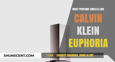 Calvin Klein Euphoria: The Scent of Seduction