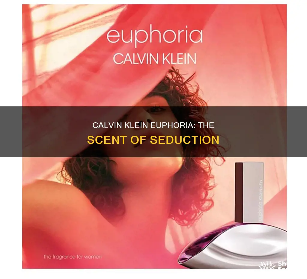 what perfume smells like calvin klein euphoria