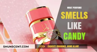 Sweet Scents: Perfumes That Smell Like Candy