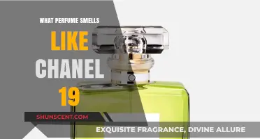 Chanel 19's Smell-Alikes: A Guide to Similar Scents