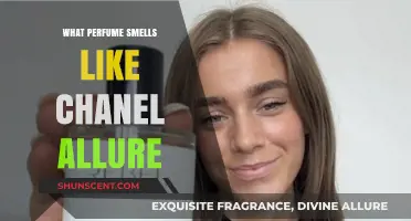 Similar Scents: Chanel Allure and Its Fragrance Cousins