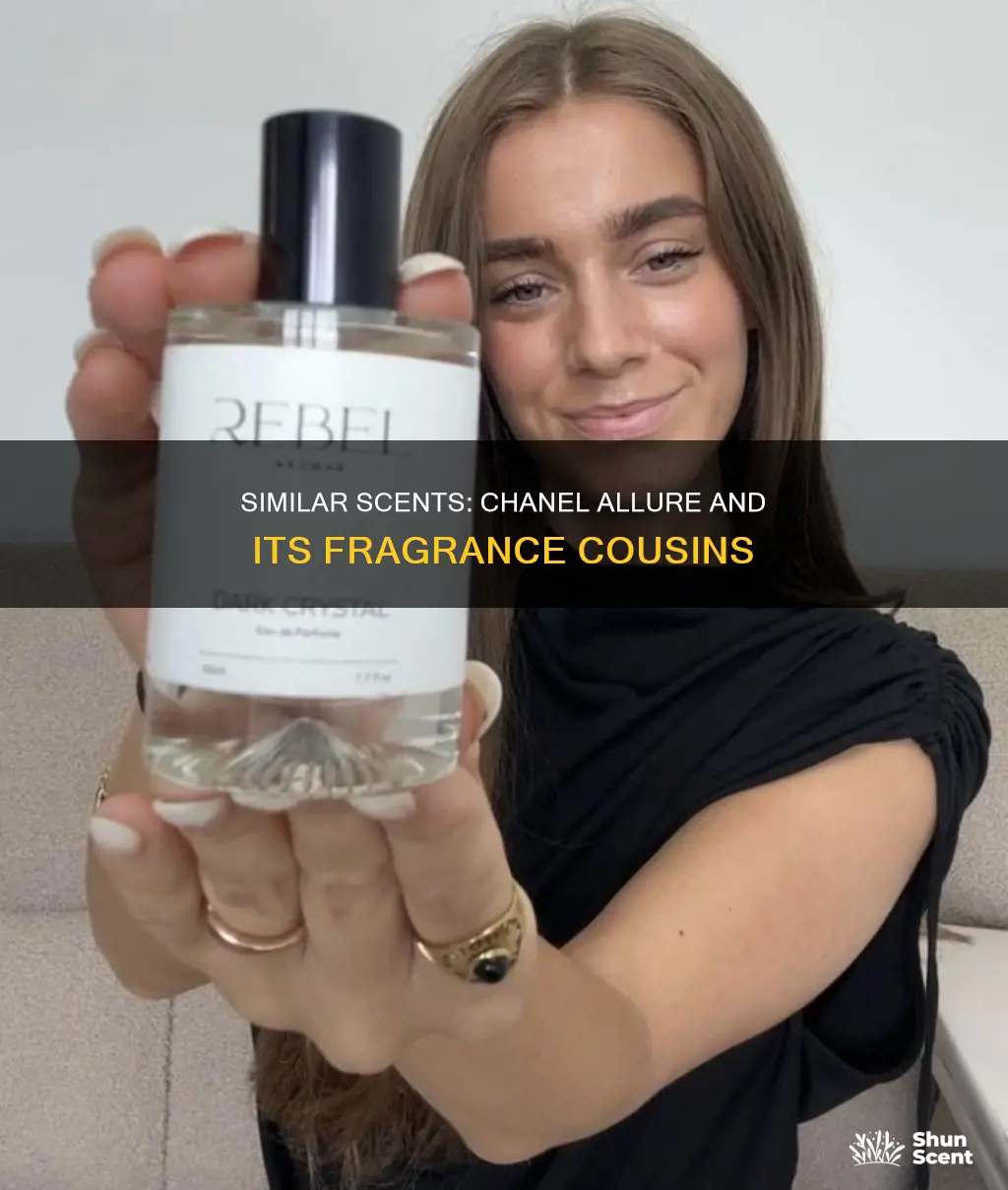 what perfume smells like chanel allure