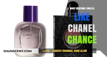Similar Scents: Chanel Chance and Its Perfume Cousins