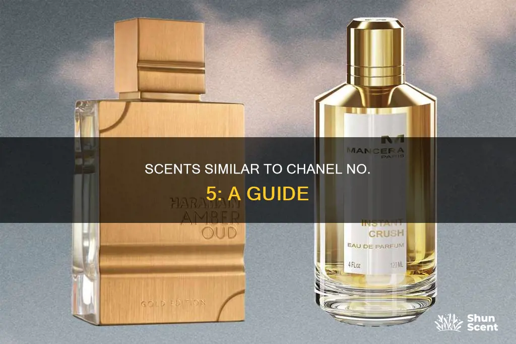 what perfume smells like chanel no 5