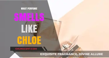 Chloe's Signature Scents: Discovering the Fragrance Family