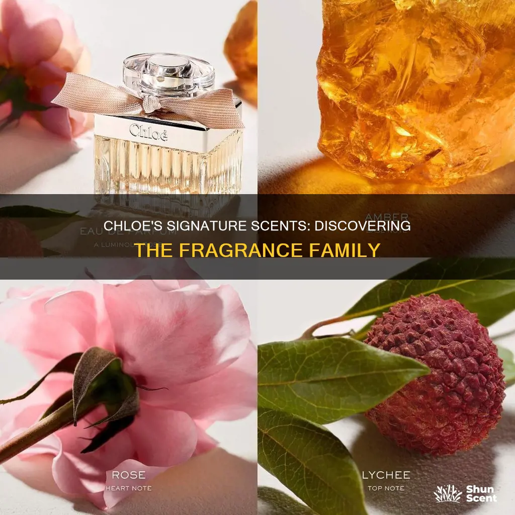 what perfume smells like chloe