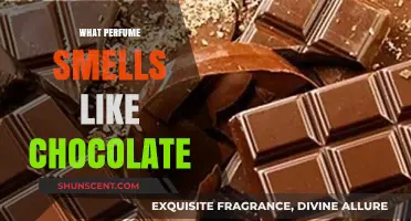 Discover the Sweet Scent of Chocolate Perfumes